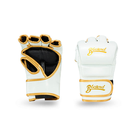 Blegend MMA Fight gloves