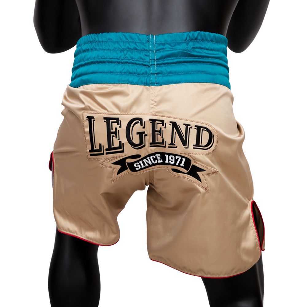 Fairtex Boxing Shorts- BT2010 Classic