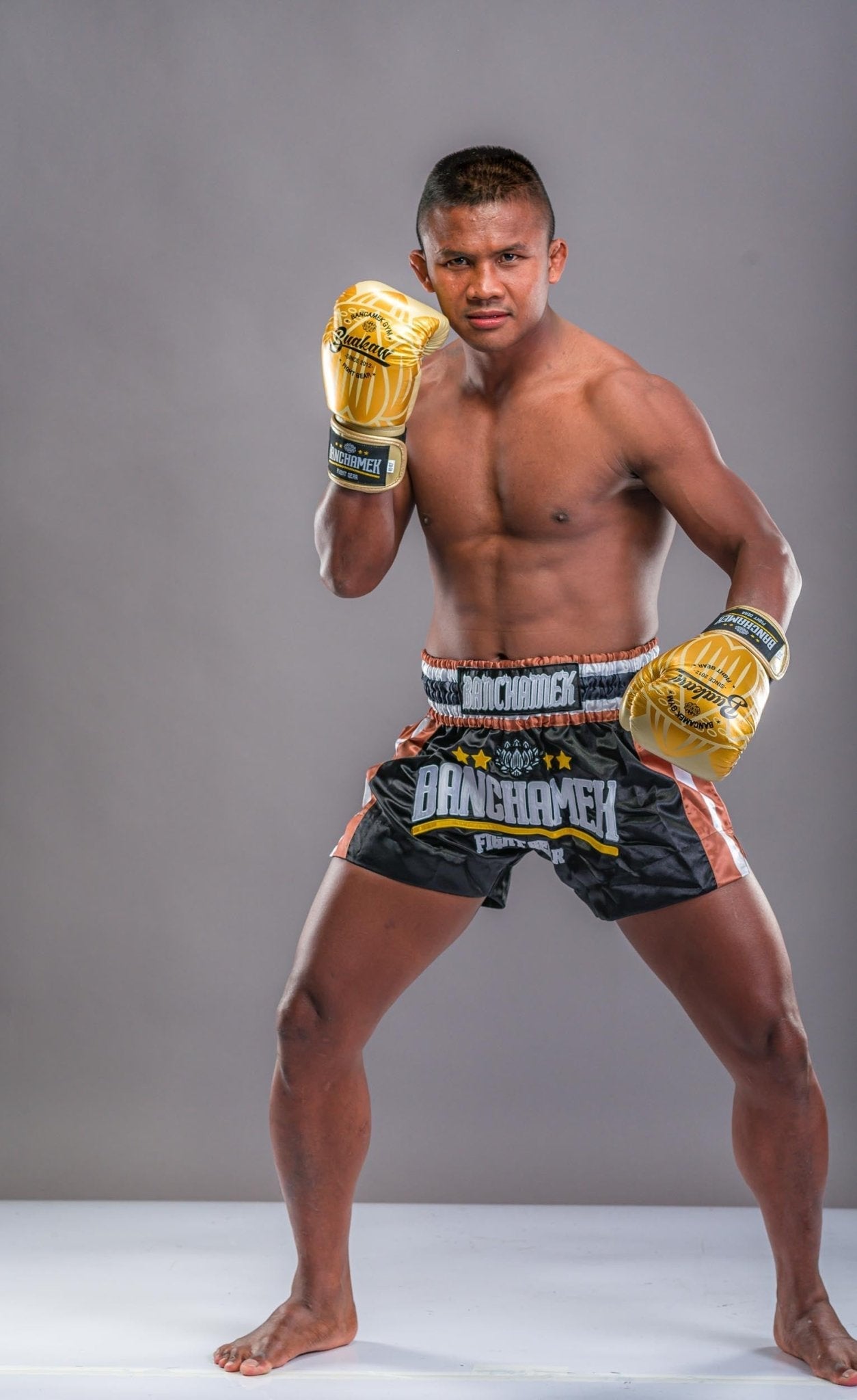 Buakaw Boxing Gloves BGL-GL3 Gold