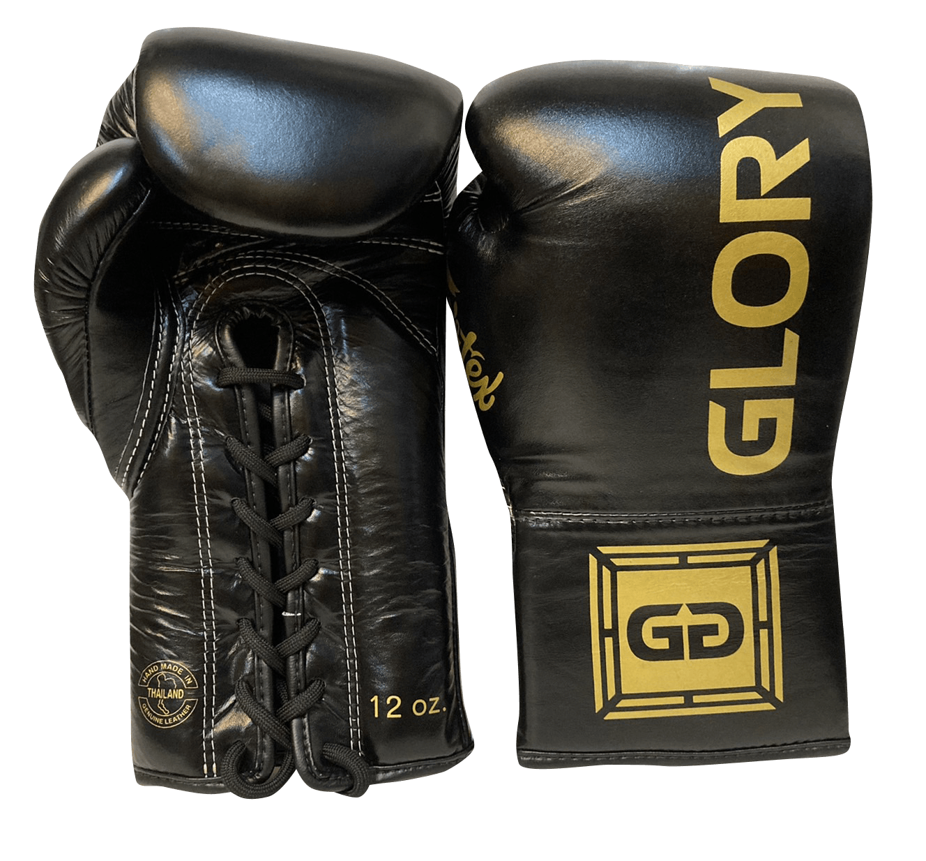 Fairtex Boxing Gloves BGLG1 GLORY Lace Up Black