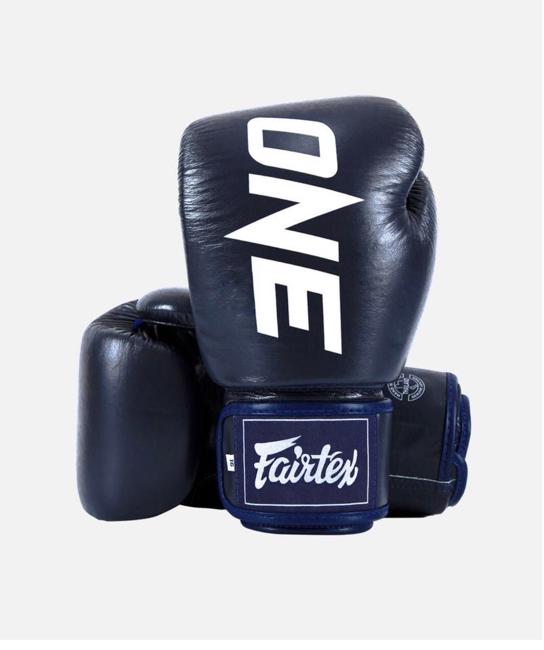 Fairtex Boxing Gloves BGV1 "ONE" Blue