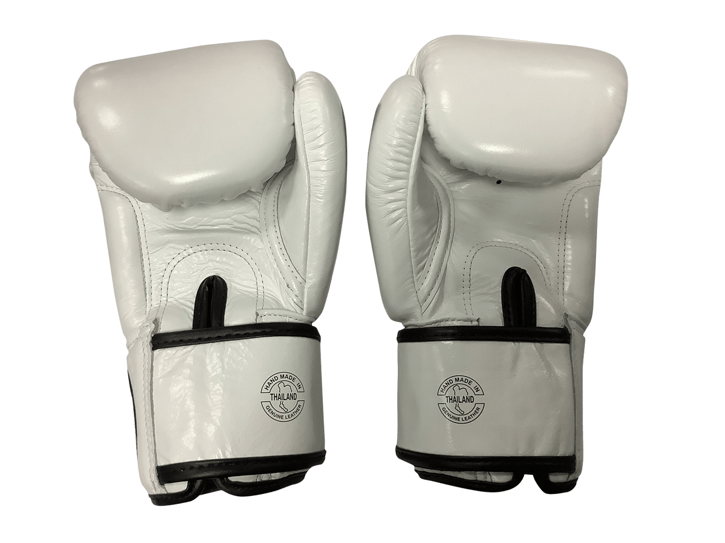 Fairtex Boxing Gloves BGV1 "ONE" White