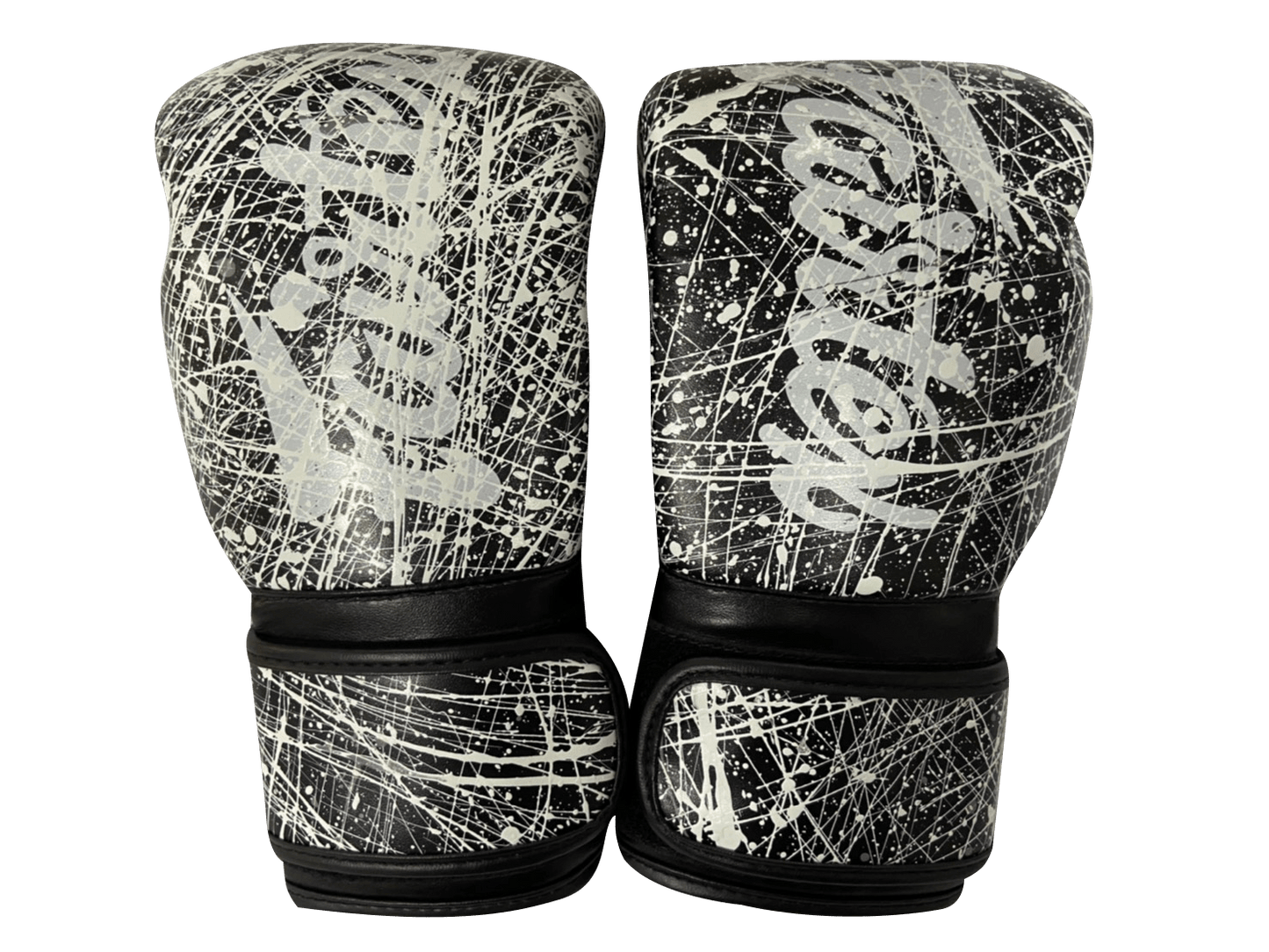 Fairtex Boxing Gloves BGV14 KOREAN Painter