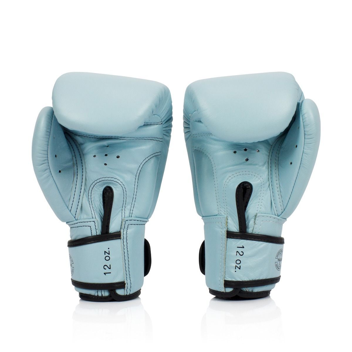 Fairtex Boxing Gloves BGV20 Light Blue