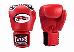 Twins Special Fancy BOXING GLOVES FBGVL3-25 RED