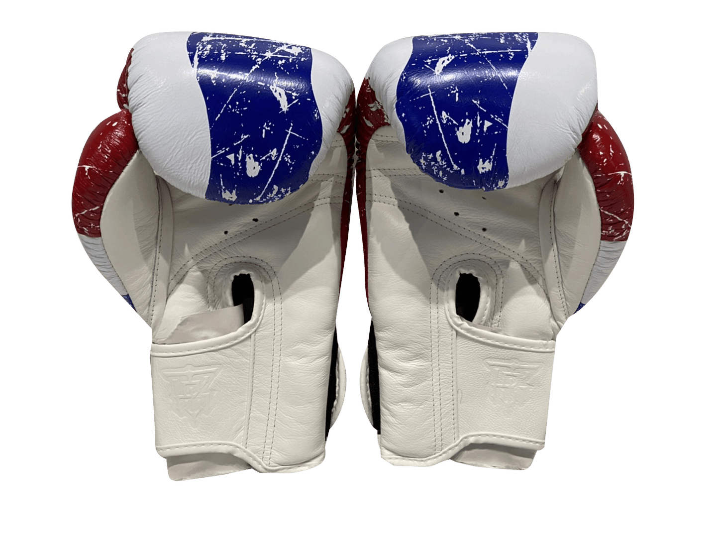 Top King Boxing Gloves TKBGFV Thailand