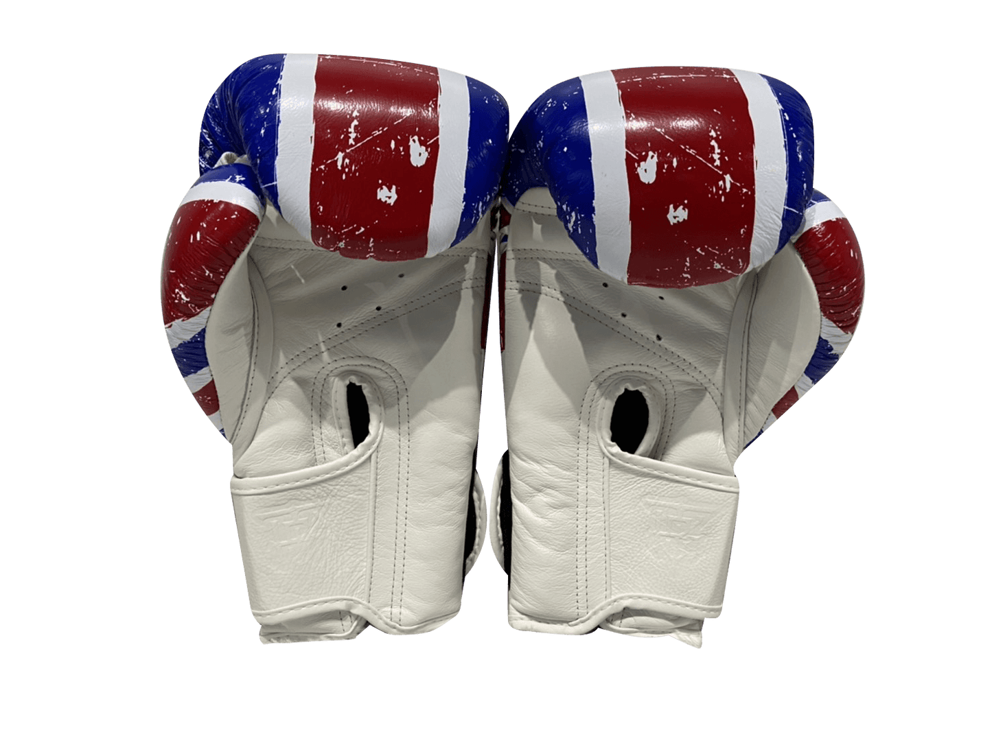 Top King Boxing Gloves TKBGFV UK